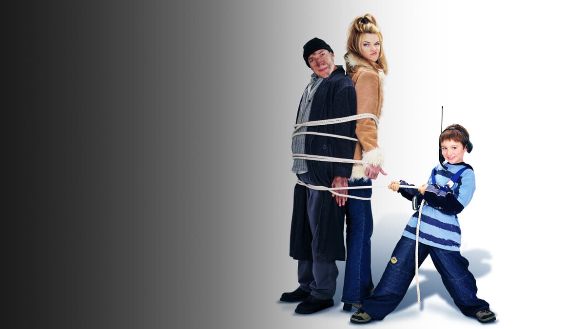 Home Alone 4 poster