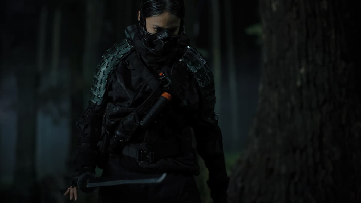 The Shadow Strays poster