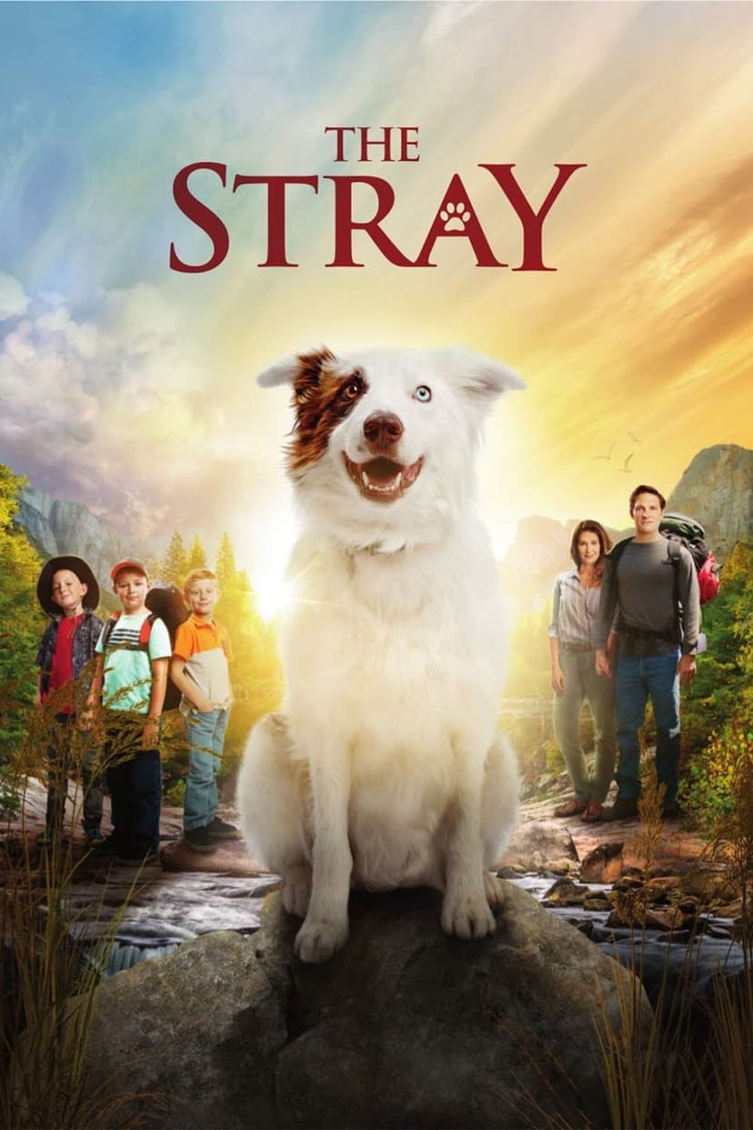 The Stray poster