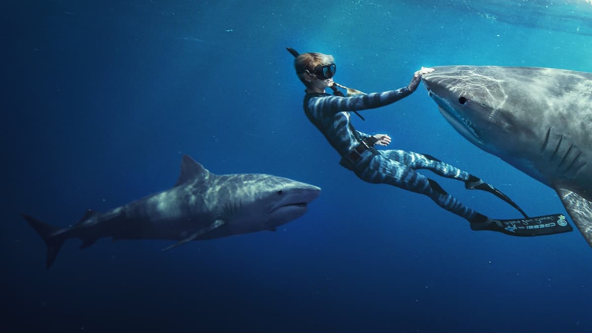 Shark Whisperer poster