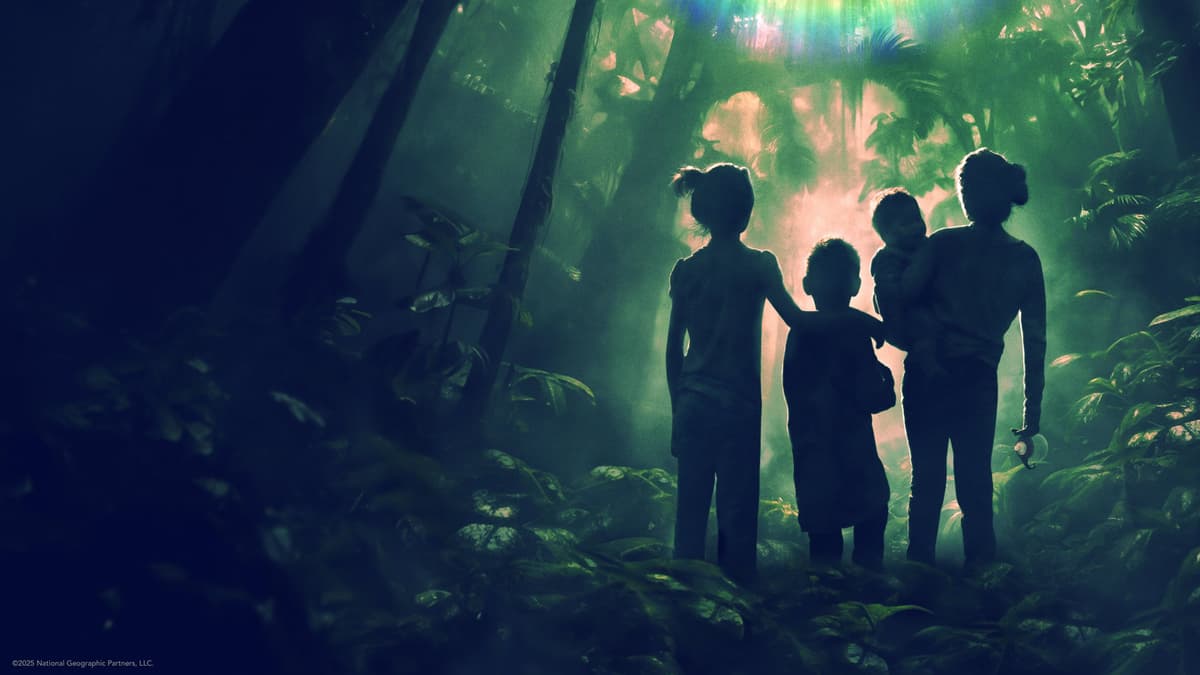 Lost in the Jungle poster