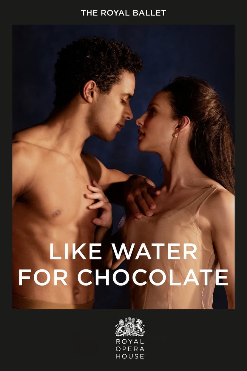 Like Water for Chocolate poster