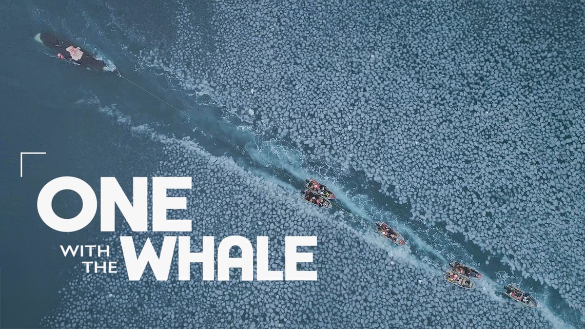 One with the Whale poster